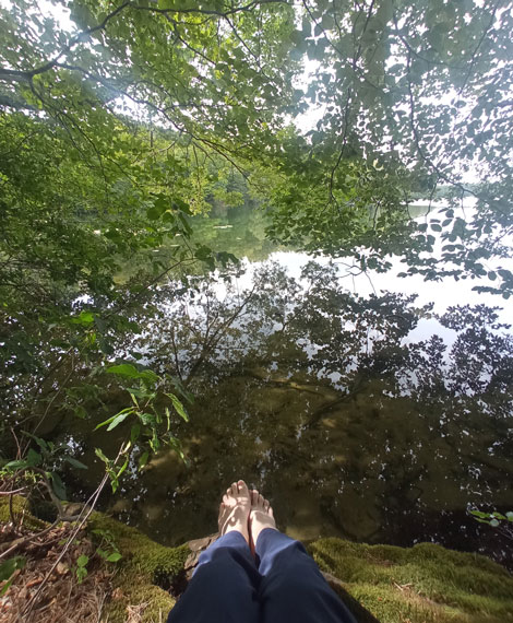 las-i-woda jezioro i las